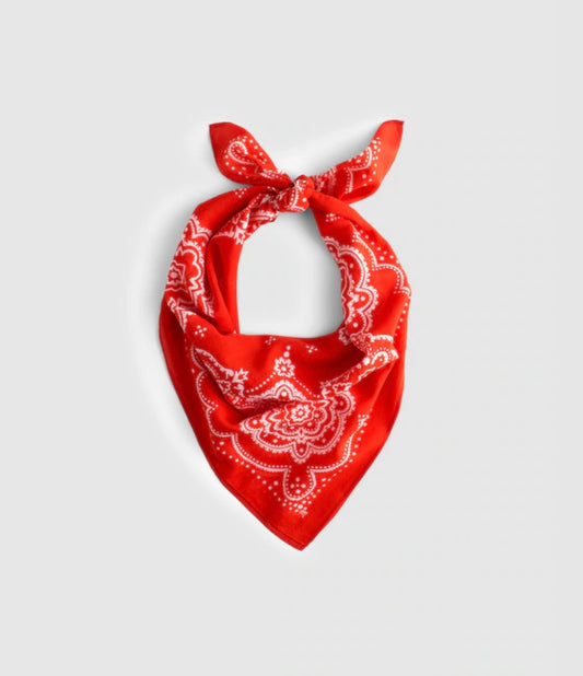 Madewell cotton bandans- 2 colors